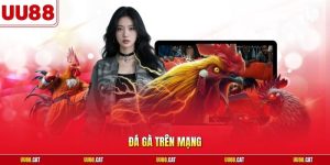 Đá gà trên mạng