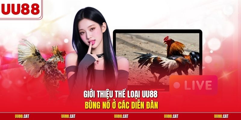 Giới thiệu thể loại UU88 bùng nổ ở các diễn đàn